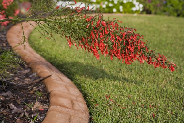 Brick Edging in Daphne